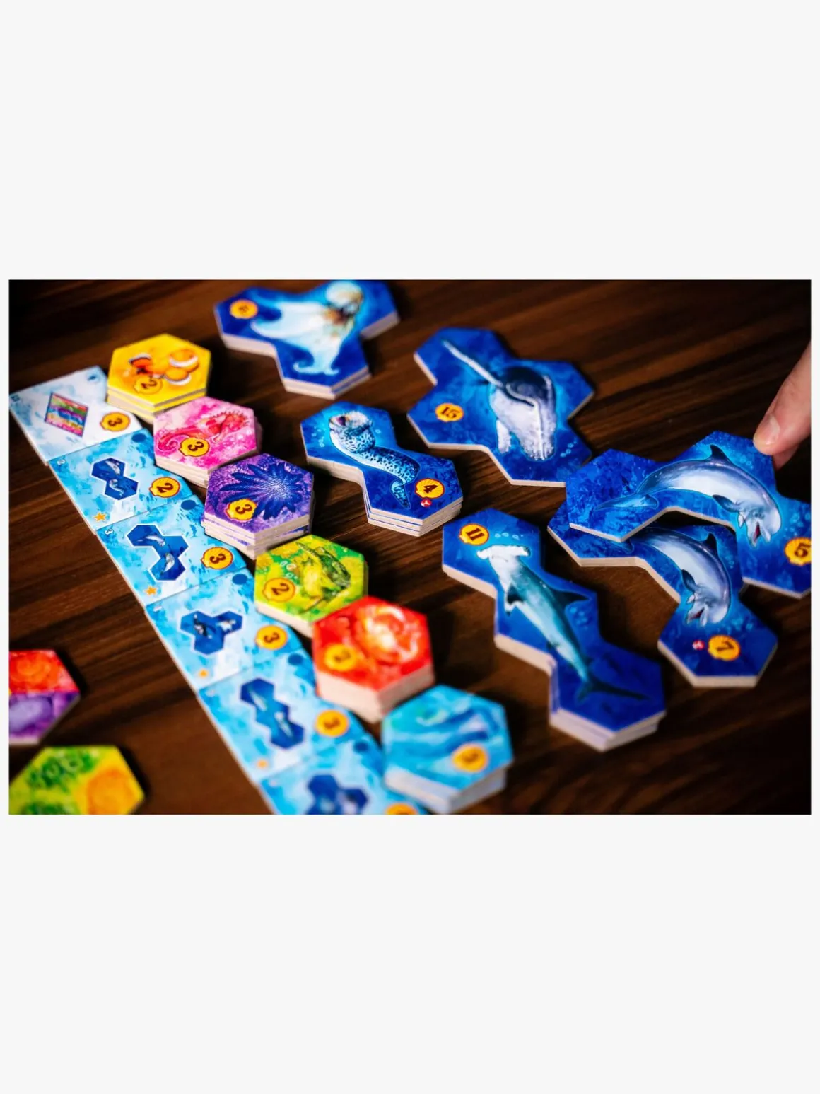 Asmodee Aqua Nordic Brætspil