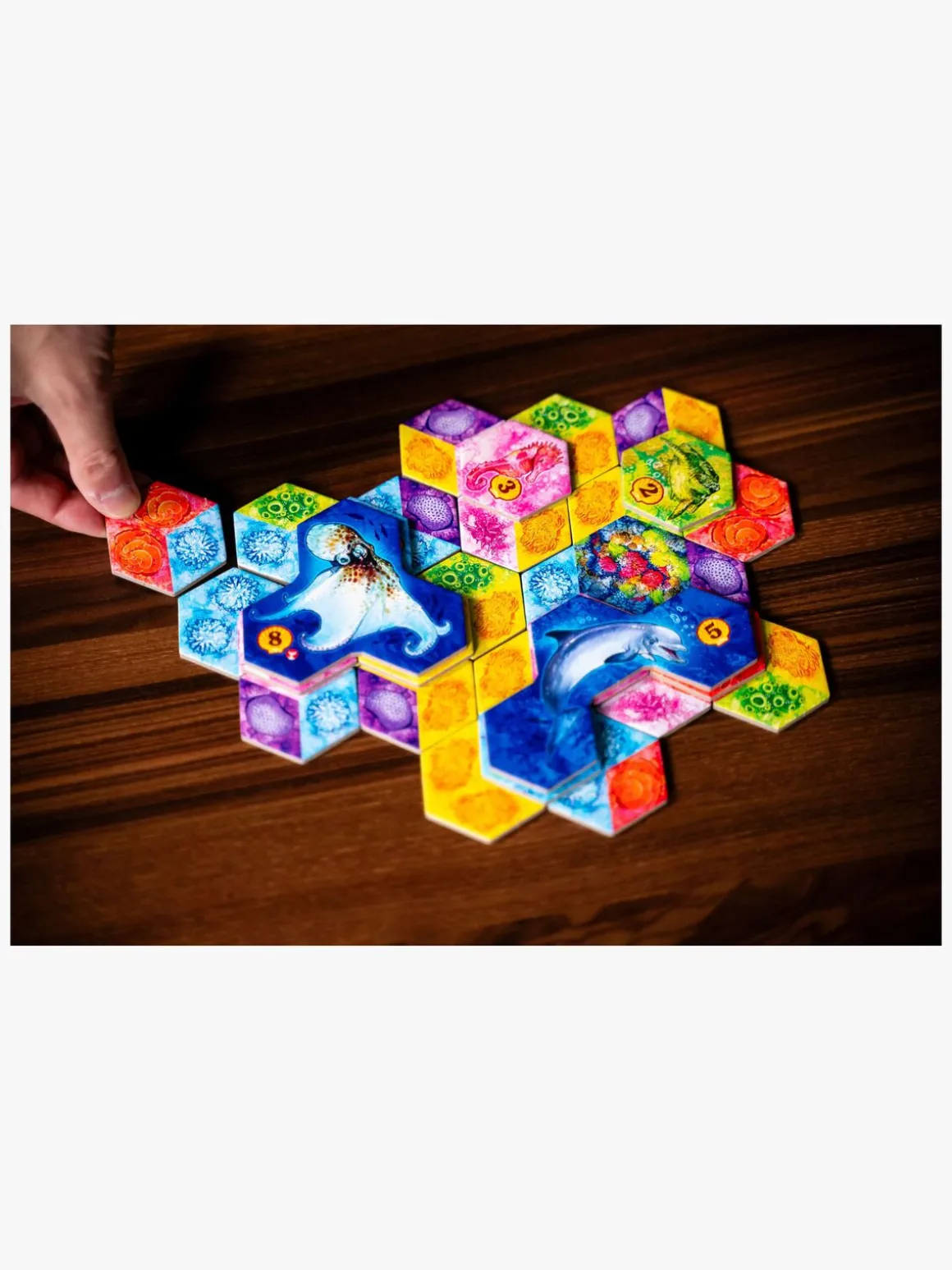 Asmodee Aqua Nordic Brætspil