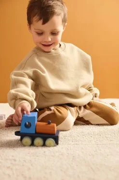 Kid's Concept Aiden Tog med Bondegårdsdyr