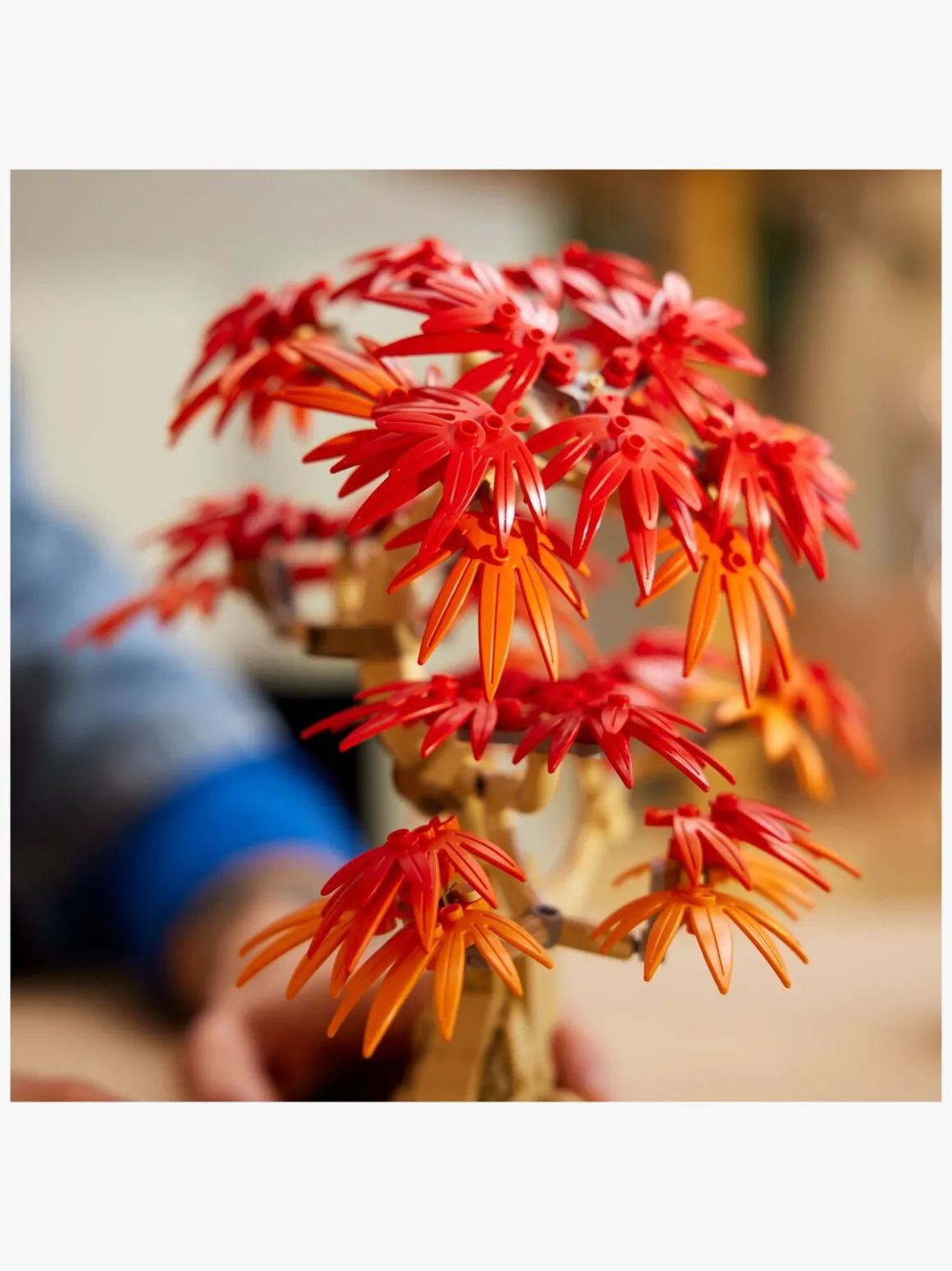 LEGO Botanicals 10348 Bonsaitræ: Japansk løn