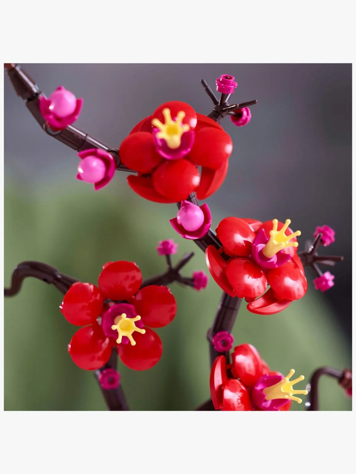 LEGO Botanicals 10369 Japansk abrikostræ