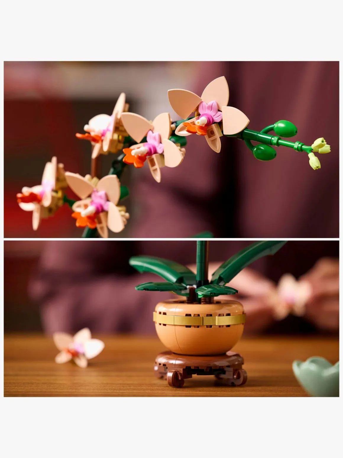 LEGO Botanicals 10343 Mini-orkidé