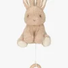 Little Dutch Baby Bunny Spilledåse
