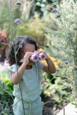 Little Dutch Kikkert, Fairy Garden